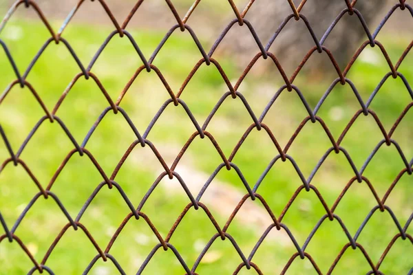 Iron Chain Link Fence Green Meadow — Stock fotografie