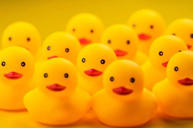 Closeup of Rubber yellow duck on yellow background.