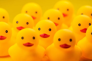 Closeup of Rubber yellow duck on yellow background.