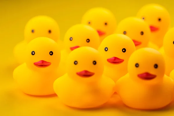 Closeup of Rubber yellow duck on yellow background.