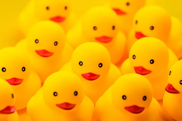 Closeup of Rubber yellow duck on yellow background.