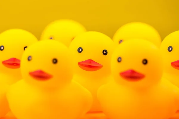 Closeup of Rubber yellow duck on yellow background.