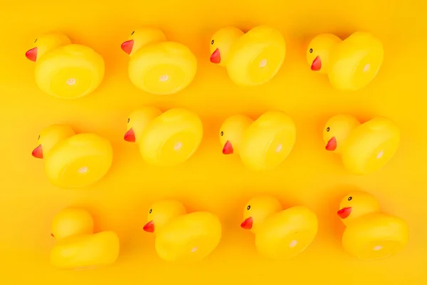 Rubber yellow duck on yellow background.