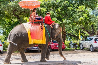 Ayutthaya, Tayland - 17 Eylül 2022: Ayutthaya 'daki Ayutthaya Tarihi Parkı' nda fillere binen turistler. Ünlü dünya mirası sitesi, Ayutthaya, Tayland.