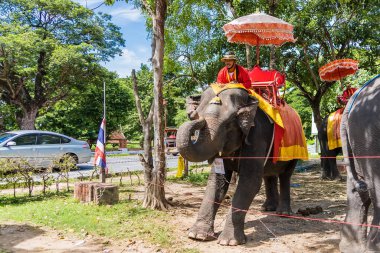 Ayutthaya, Tayland - 17 Eylül 2022: Ayutthaya 'da Ayutthaya antik kenti Ayutthaya, Tayland turu için fillere binen gezgin Ayutthaya filleri.