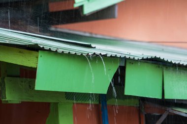 Tatil sabahı çatıdan yağan yağmur rahat bir günde dinleniyor.