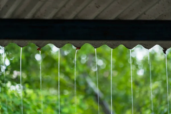 Caída Lluvia Desde Techo Mañana Vacaciones Sentirse Relajado Día Confort —  Fotos de Stock