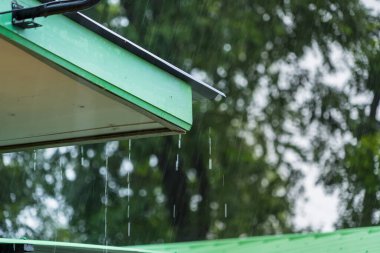 Tatil sabahı çatıdan yağan yağmur rahat bir günde dinleniyor.