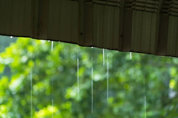 Chuva Caindo Telhado Manhã Férias Sinta Relaxante Dia Conforto — Fotografia de Stock