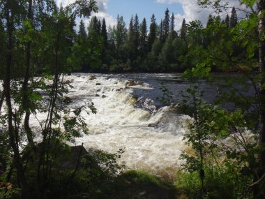 Krivoy Tuntsajoki Nehri 'nde Rapids
