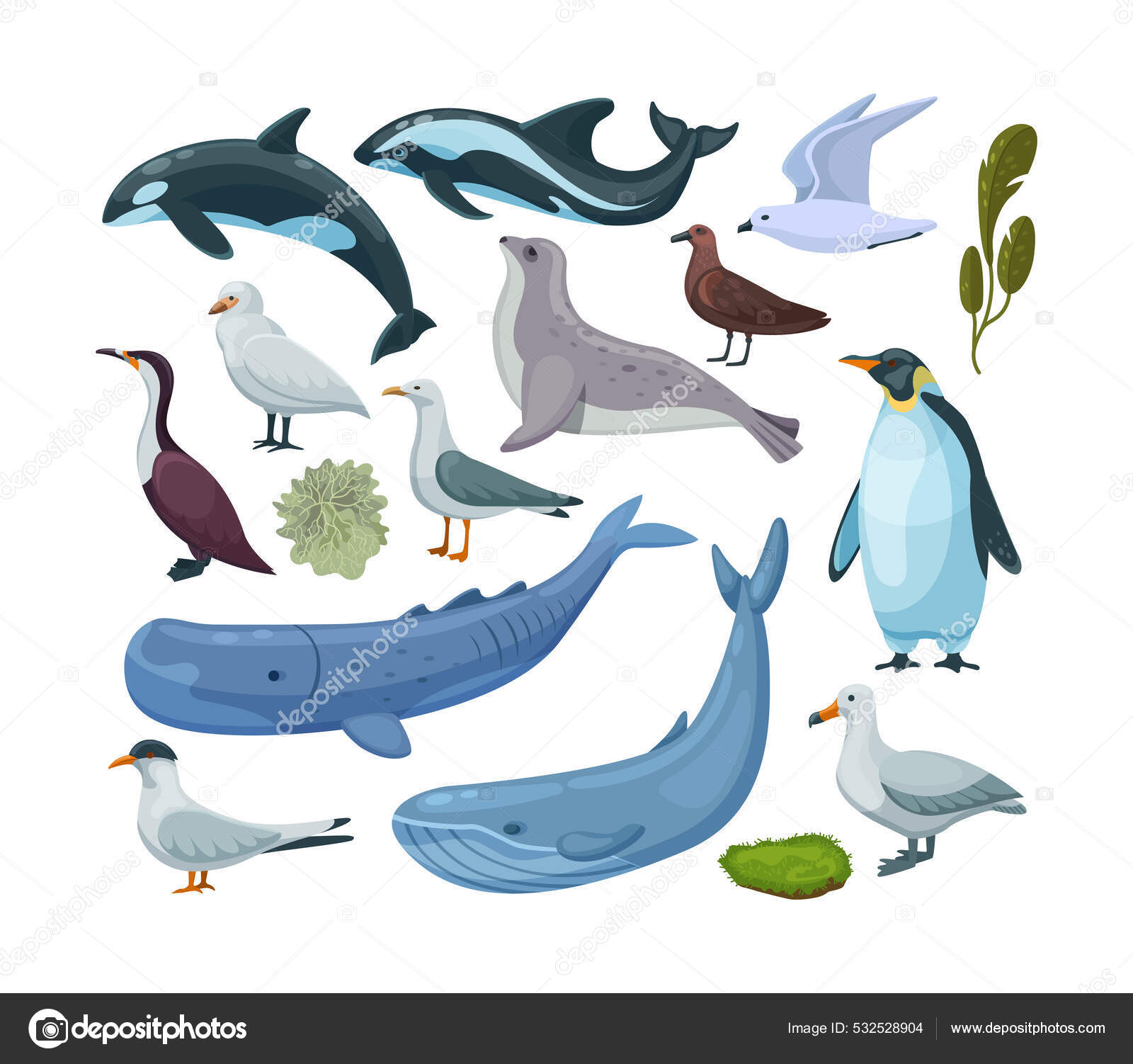 南極の動植物がセットされています 南極の動物 海洋哺乳類 海洋生態系の生息地は 毛皮のシール カモメ ペンギン イルカ 苔を殺します  旅行地理フラットベクトル ストックベクター ©ansvetas 532528904, image size:1600x1502