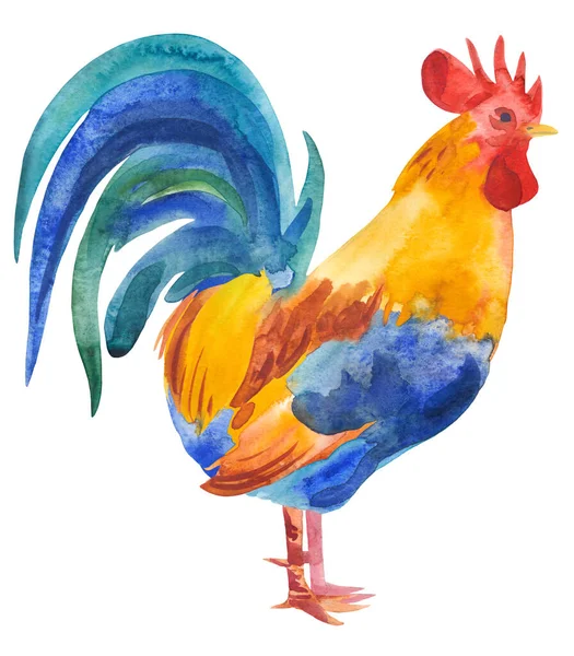 galinha marrom, frango de um toque de aquarela, desenho colorido