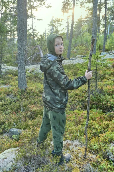 A boy walks in the forest with a big stick