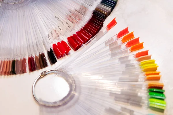 Cartella Colori Colori Smalto Unghie Pittura Bellezza Concetto Manicure — Foto Stock