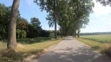 Harika bir yolda bisiklet sürmek