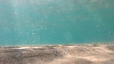 Harika sualtı dünyası ve kumsal manzaraları 
