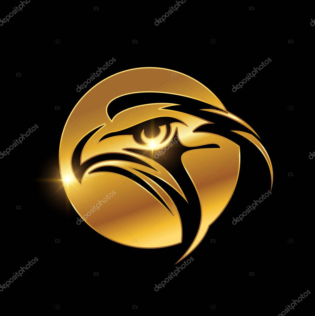 Eagle Head in Golden Circle Logo