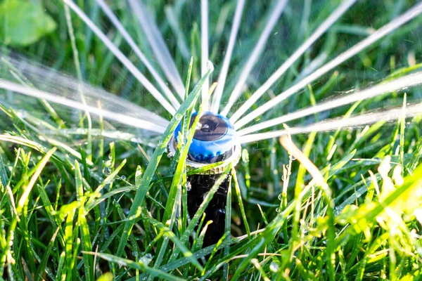 Gräsmatta vattning munstycke. Slänger vatten. Vattnar den gröna gräsmattan. Vatten droppar på gräset. — Stockfoto