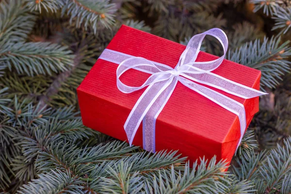 Envoltório de presente vermelho com fita branca. Ramos de abeto. Um presente de Natal. — Fotografia de Stock