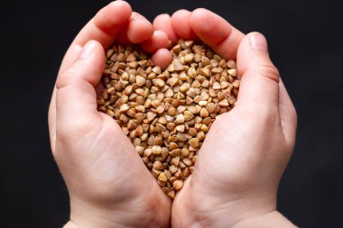 Çocukların elleri karabuğday tutar. Mısır gevreği ekinleri. Koyu arkaplan.