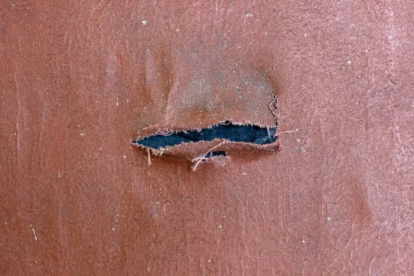 불에 탄 가죽. 오래 된 가죽으로 된 구멍이야. 갈색 장수풍뎅이 — 스톡 사진