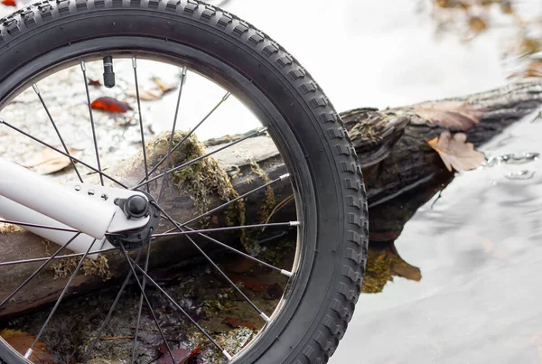Wet bicycle wheel. Bicycle on the lake. — Zdjęcie stockowe