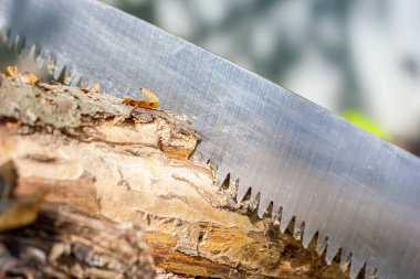 Çelik testere bıçağı. Tahta kesme işlemi. Marangozluk işi.