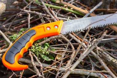 Kesilmiş dallar. Testereli bir odun yığını.