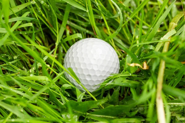 Beyaz golf topu çimlerin üzerinde. Golf oyunu. Yüksek kalite fotoğraf