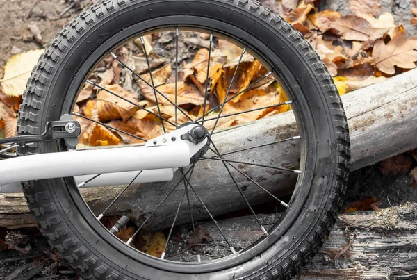 Ormanlık Alanda Bir Bisikletin Parçası Çevrede Bisiklet Tekerleği Var Yüksek — Stok fotoğraf