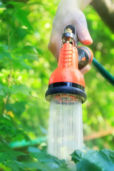 Garden Sprayer Hand Watering Garden Spraying Water High Quality Photo — 스톡 사진