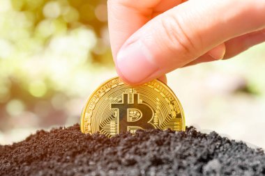 İnsan eli toprağa bitcoin ekiyor. Bitcoin güneşte. Yüksek kalite fotoğraf