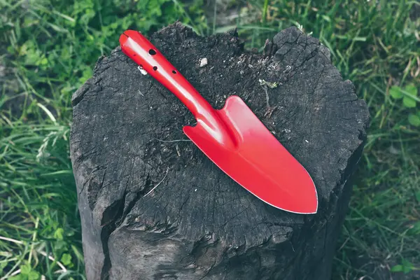 Gartenschaufel Auf Einem Baumstumpf Rote Gartenschaufel Hochwertiges Foto — Stockfoto