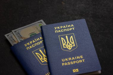 Bir çift Ukrayna uluslararası pasaportu. Biyometrik pasaportlar. Yüksek kalite fotoğraf