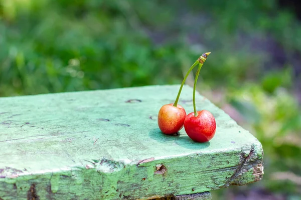 Pair Sweet Cherries Wooden Bench Garden High Quality Photo — Stockfoto