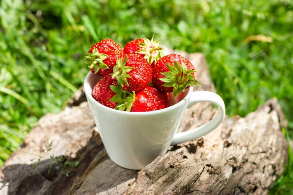 Homegrown strawberries. Harvest strawberries on green grass. High quality photo