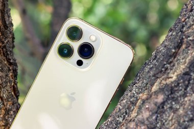 UKRAINE, DNEPR - JULY 25, 2022: smartphone Apple Iphone 13 Pro on the tree. High quality photo