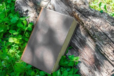 A hardcover book on a background of grass and wood. Fairy book. Forest book in sunlight. Book of spells in a natural setting. High quality photo