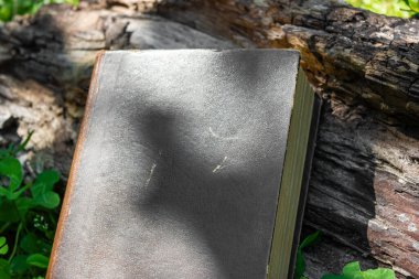 Fairy book. Magic book. Mysterious book. Old fashioned book in the forest. High quality photo