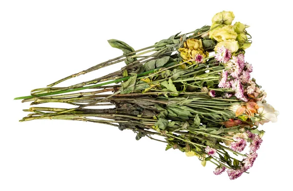 Засохшие Цветы Изолированы Белом Фоне Засохшие Хризантемы Увядшая Эустома Букет — стоковое фото