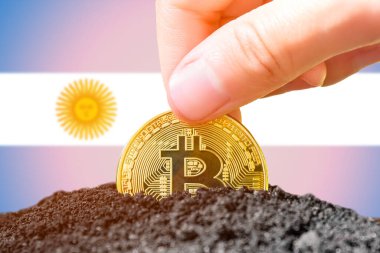Legalization of bitcoins in Argentina. Landing bitcoin in the ground against the background of the flag of Argentina. Argentina - investment in cryptocurrency. High quality photo