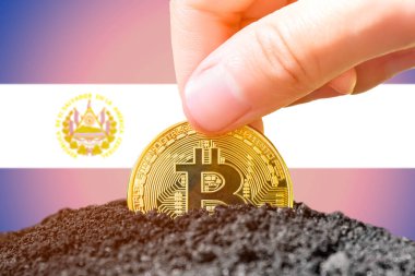 Legalization of bitcoin in El Salvador. Landing bitcoin in the ground against the background of the flag of El Salvador. El Salvador - investment in cryptocurrency. High quality photo