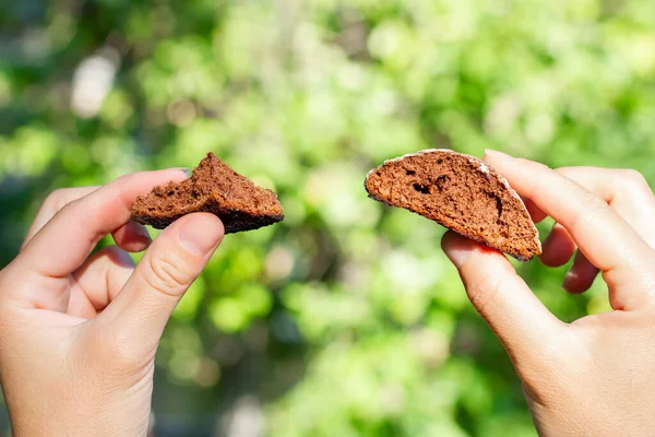 Two Halves Chocolate Chip Cookies Womens Hands Hold Halves Cookies — Foto de Stock
