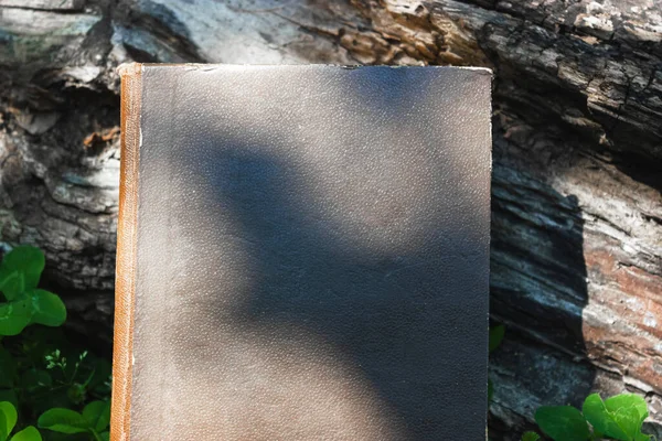 Vintage book cover on the background of nature. Book of Wisdom. Reading books. An old book in a dramatic light. High quality photo