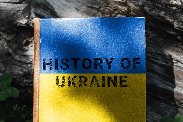 Книга Истории Украины Книга Обложкой Цветах Украинского Флага Высокое Качество — стоковое фото