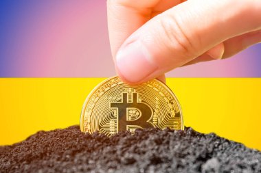 Legalization of bitcoin in Ukraine. Landing bitcoin in the ground against the background of the flag of Ukraine. Ukraine - investment in cryptocurrency. . High quality photo
