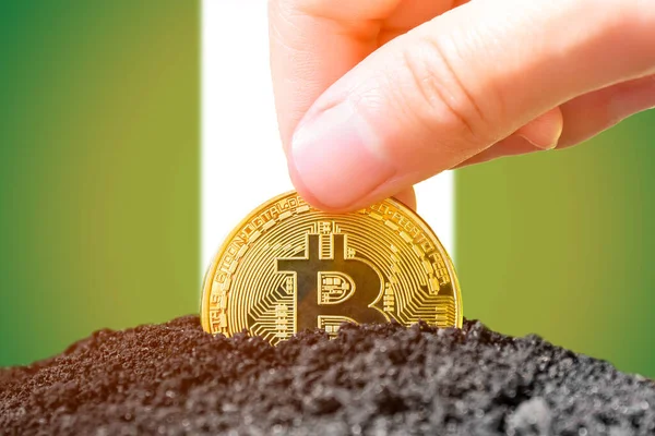 Legalization of bitcoin in Nigeria. Bitcoin landing in the ground against the background of the Nigerian flag. Nigeria - investment in cryptocurrency. High quality photo