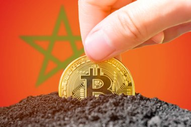 Legalization of bitcoins in Morocco. Bitcoin landing in the ground against the background of the flag of Morocco. Morocco is an investment in cryptocurrency. . High quality photo