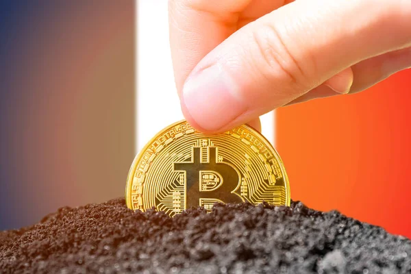 Legalization of bitcoins in France. Bitcoin landing in the ground against the background of the flag of France. France - investment in cryptocurrency. . High quality photo