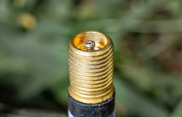 Schrader valves close-up. American valve. Metric thread. High quality photo